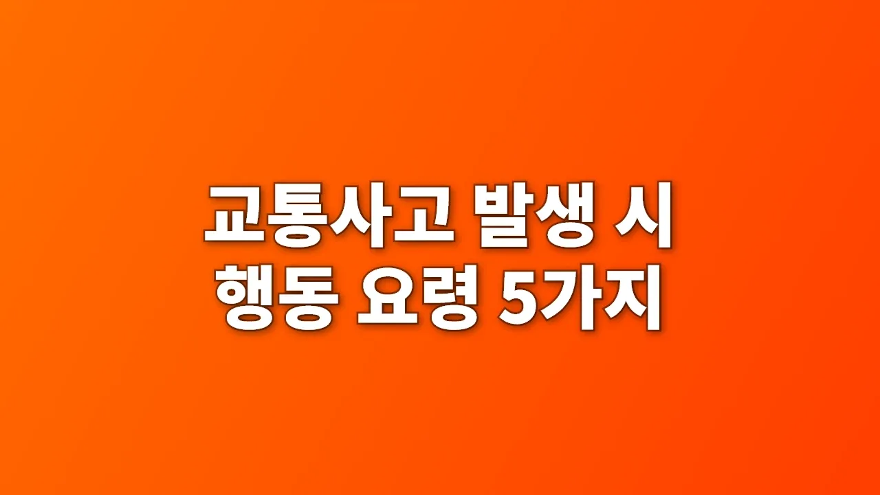 교통사고 발생 시 행동 요령 5가지